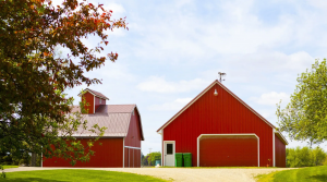 two red pole barns